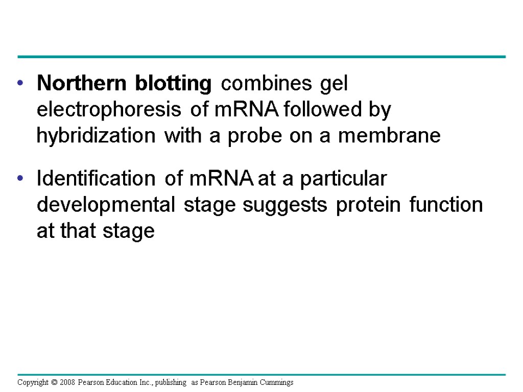 Northern blotting combines gel electrophoresis of mRNA followed by hybridization with a probe on